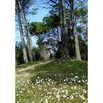 Hotel Nazionale 3*