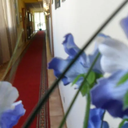 Nazionale ホテル 3*