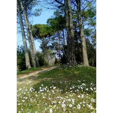 Hotel Nazionale 3*