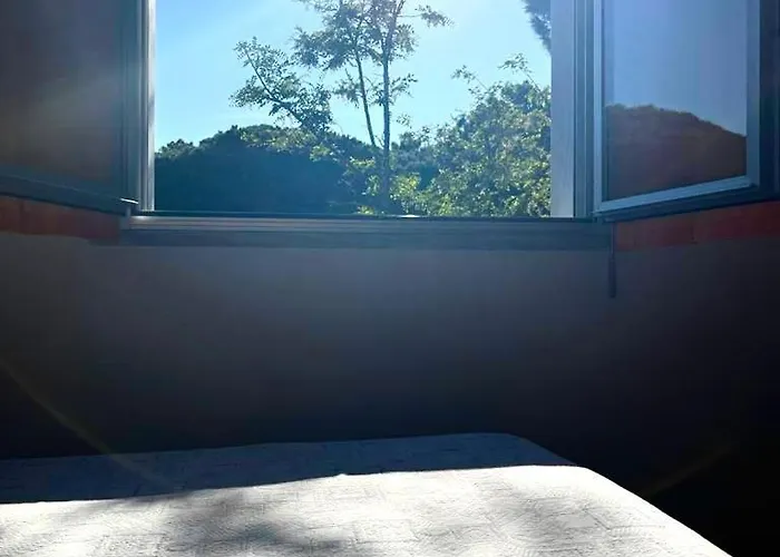 Nazionale تّشيرفييا